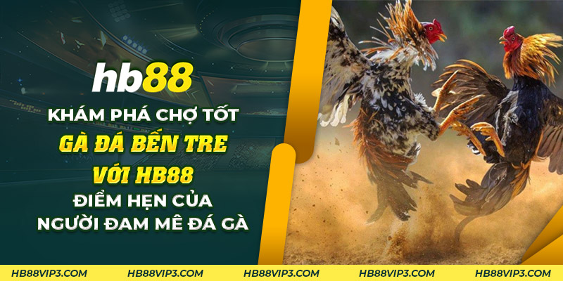 Chợ tốt gà đá Bến Tre: Nơi giao thương gà đá chất lượng! 1 64 Kham pha cho tot ga da Ben Tre voi HB88 Diem hen cua nguoi dam me da ga